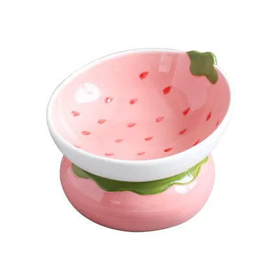 Qinhul Gamelle inclinée en céramique pour chat