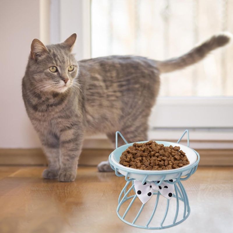 Qinhul Gamelle surélevée en céramique pour chat