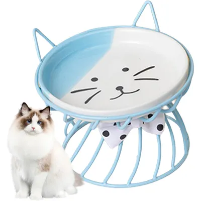 Qinhul Gamelle surélevée en céramique pour chat