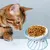 Qinhul Gamelle surélevée en céramique pour chat