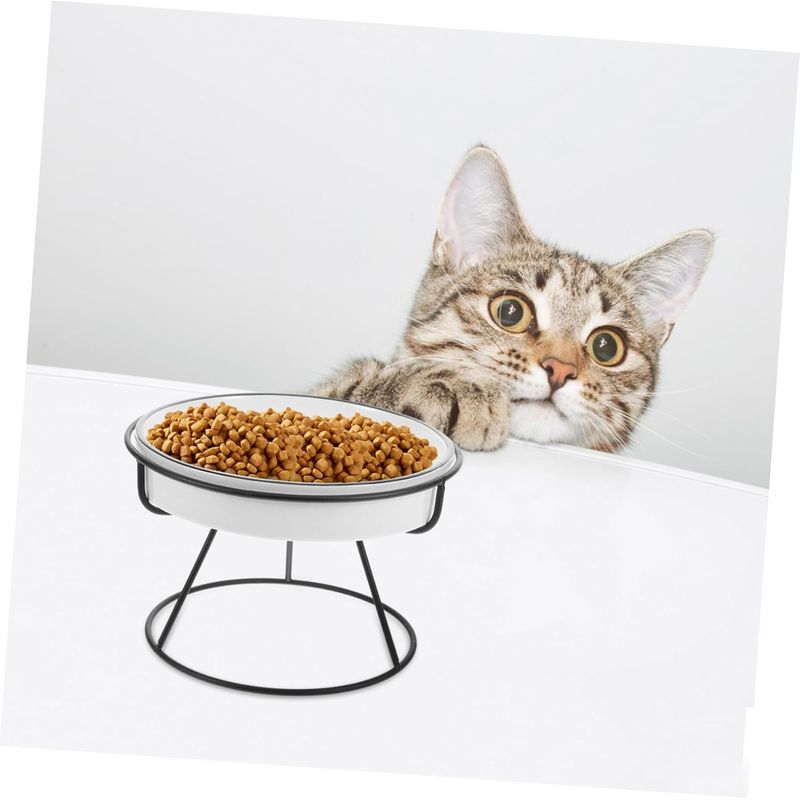 Qinhul Gamelle Slow Food en céramique pour chat