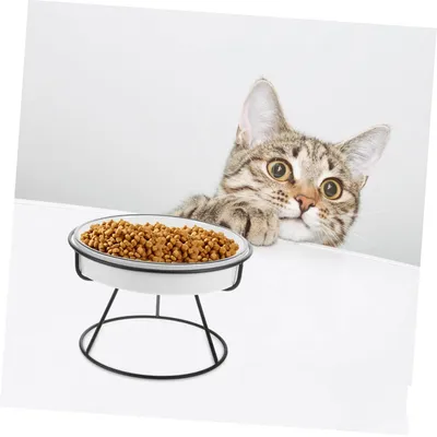 Qinhul Gamelle Slow Food en céramique pour chat