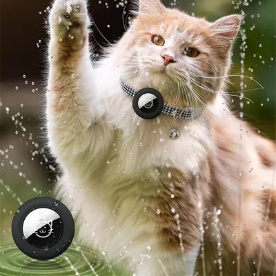 Qinhul Collier de positionnement anti-perte pour chat