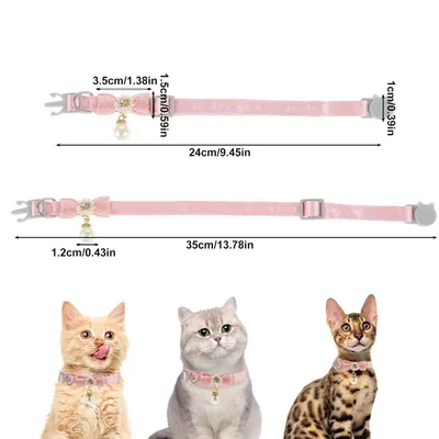 Qinhul Collier de perles pour chat Qinhul Collier de perles pour chat