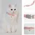 Qinhul Collier de perles pour chat Qinhul Collier de perles pour chat