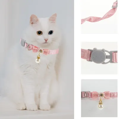 Qinhul Collier de perles pour chat Qinhul Collier de perles pour chat