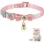 Qinhul Collier de perles pour chat Qinhul Collier de perles pour chat