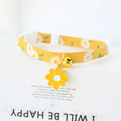 Collier pour chat détachable avec clochette