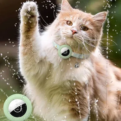 Qinhul Collier de positionnement anti-perte pour chat