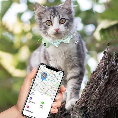 Qinhul Collier de positionnement anti-perte pour chat