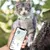 Qinhul Collier de positionnement anti-perte pour chat
