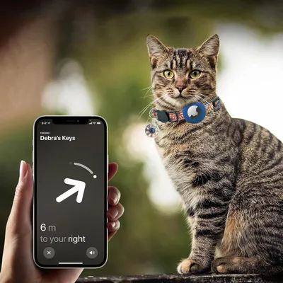 Qinhul Collier pour chat avec étui Airtag