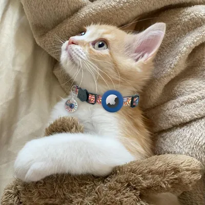 Qinhul Collier pour chat avec étui Airtag