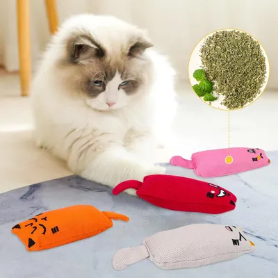 Qinhul Jouets à l'herbe à chat