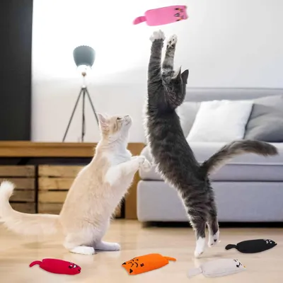 Qinhul Jouets à l'herbe à chat