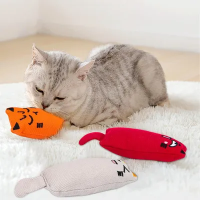 Qinhul Jouets à l'herbe à chat