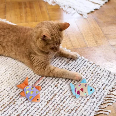 Qinhul Jouet pour chat Self-Hi