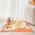 Tapis imperméable pour chien