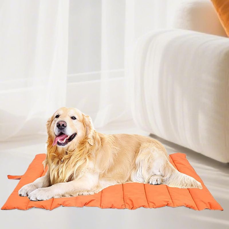 Tapis imperméable pour chien