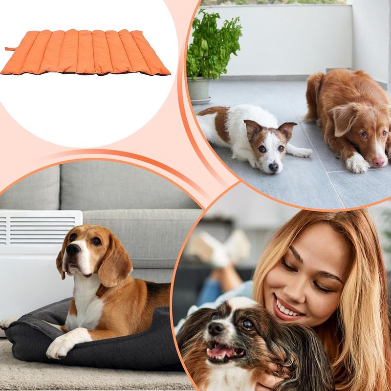 Tapis imperméable pour chien