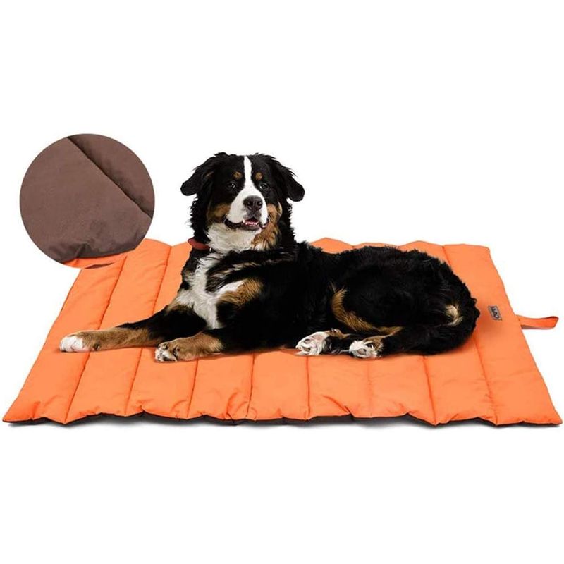 Tapis imperméable pour chien