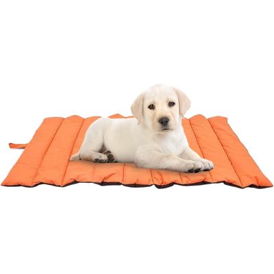 Tapis imperméable pour chien