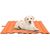 Tapis imperméable pour chien