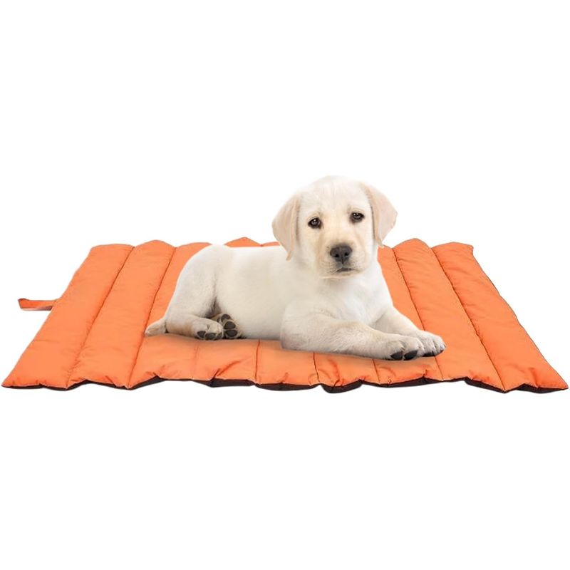 Tapis imperméable pour chien