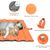 Tapis imperméable pour chien