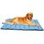 Tapis imperméable pour chien