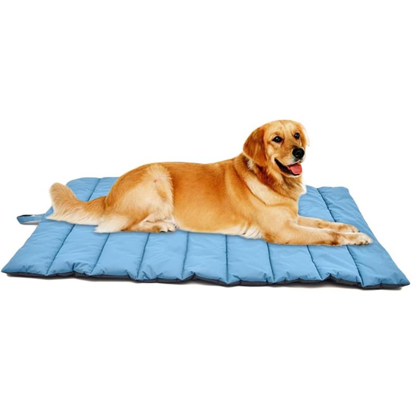 Tapis imperméable pour chien