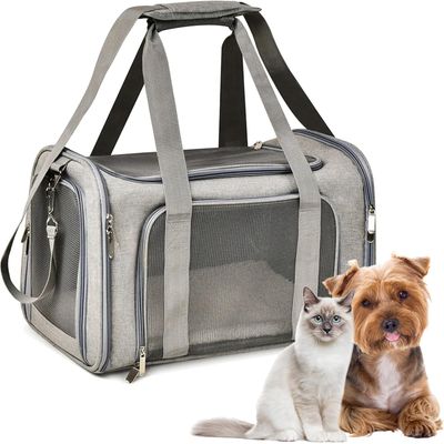 Qinhul Sac à dos à bandoulière pour chat