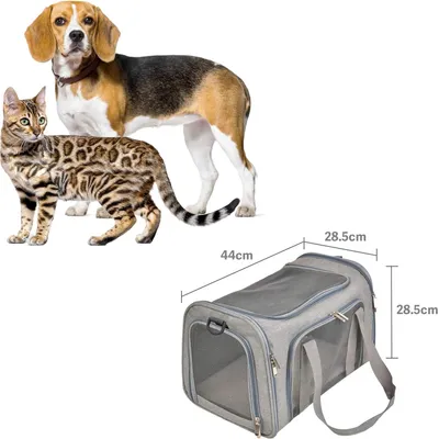 Qinhul Sac à dos à bandoulière pour chat