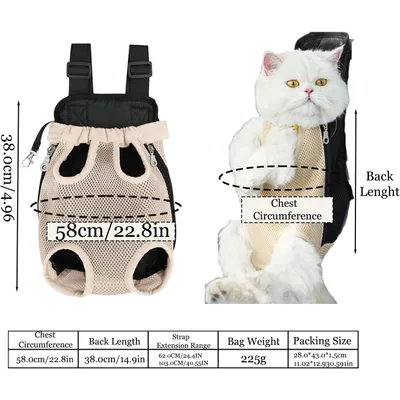 Sac à dos respirant d'extérieur pour chat