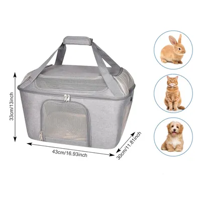 Qinhul Sac à dos respirant d'extérieur pour chat