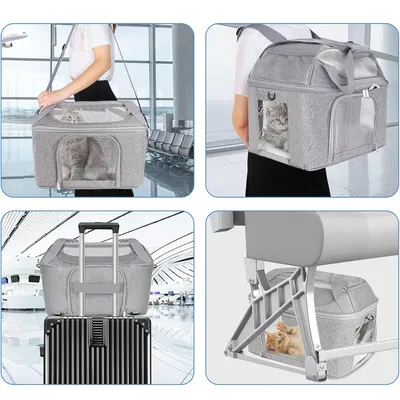 Qinhul Sac à dos respirant d'extérieur pour chat