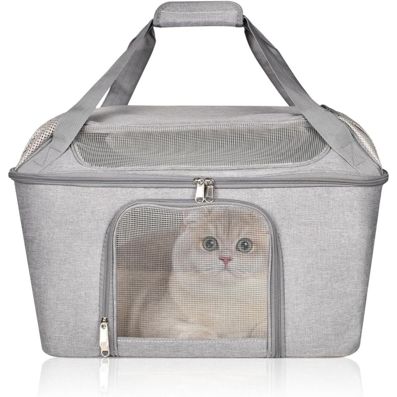Qinhul Sac à dos respirant d'extérieur pour chat
