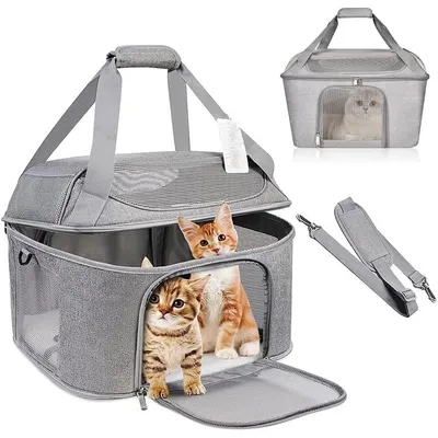 Qinhul Sac à dos respirant d'extérieur pour chat