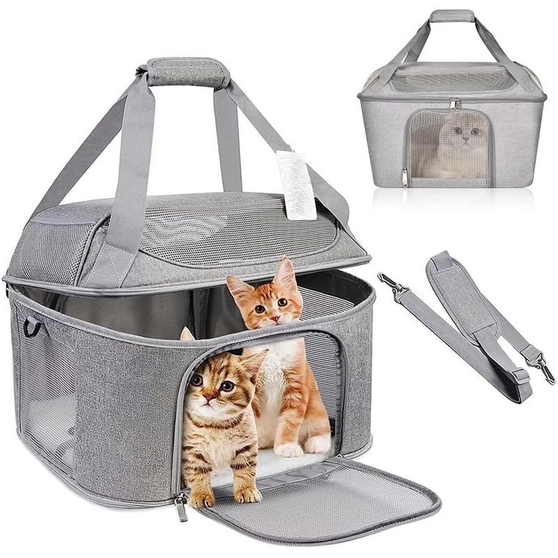 Qinhul Sac à dos respirant d'extérieur pour chat