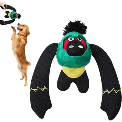 Qinhul Jouet pour chien qui fuit