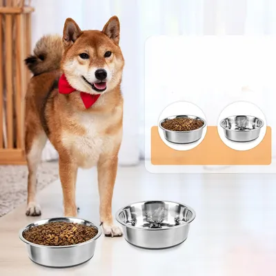 Qinhul Comedero antideslizante de acero inoxidable para perros