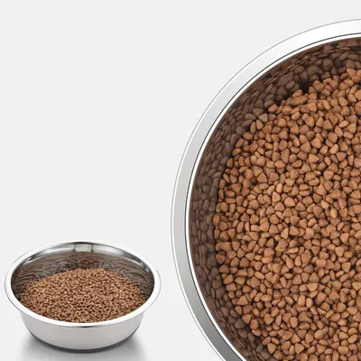 Qinhul Comedero antideslizante de acero inoxidable para perros