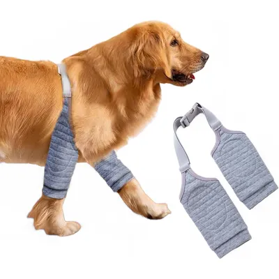 Qinhul Coudières pour chien