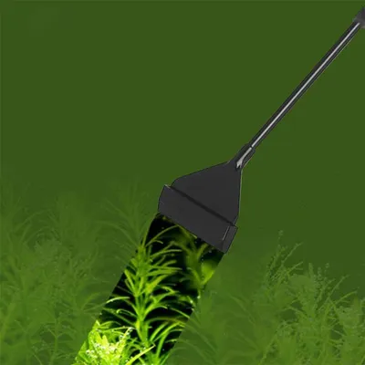 Nettoyeur De Grattoir Algues