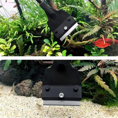 Nettoyeur De Grattoir Algues