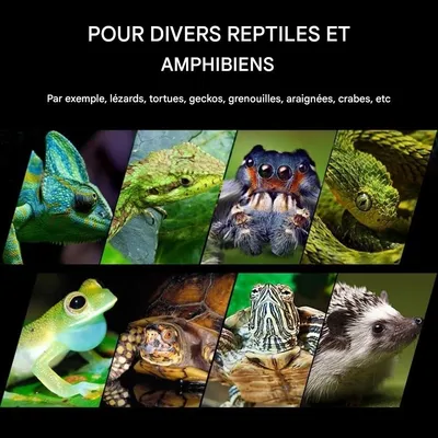 ZooVenture Mini Hygromètre Thermomètre Numérique Pour Reptiles Lot De 2