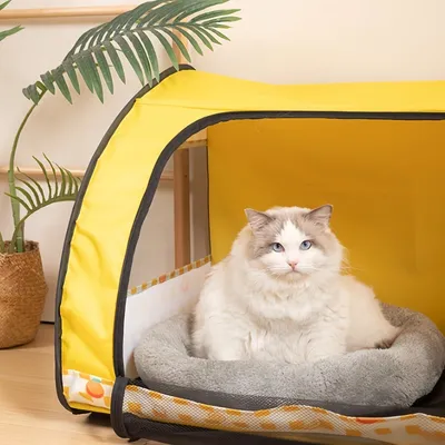 FurryFusion Salle d'accouchement pour chats