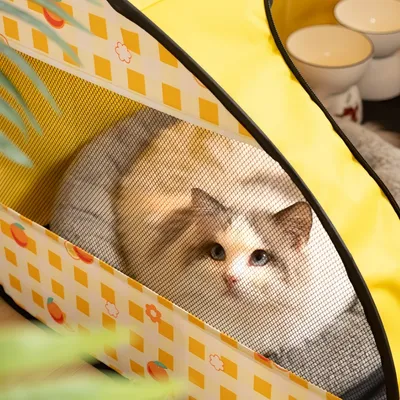 FurryFusion Salle d'accouchement pour chats