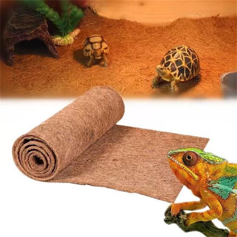 IntiMeg Coussin en coco de compagnie