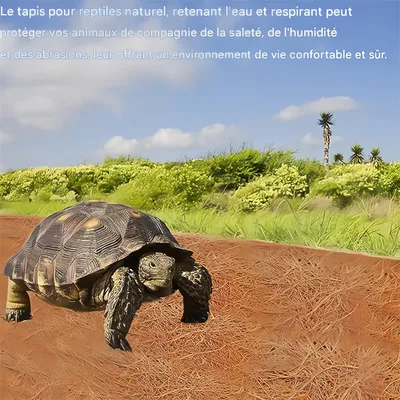 IntiMeg Coussin en coco de compagnie